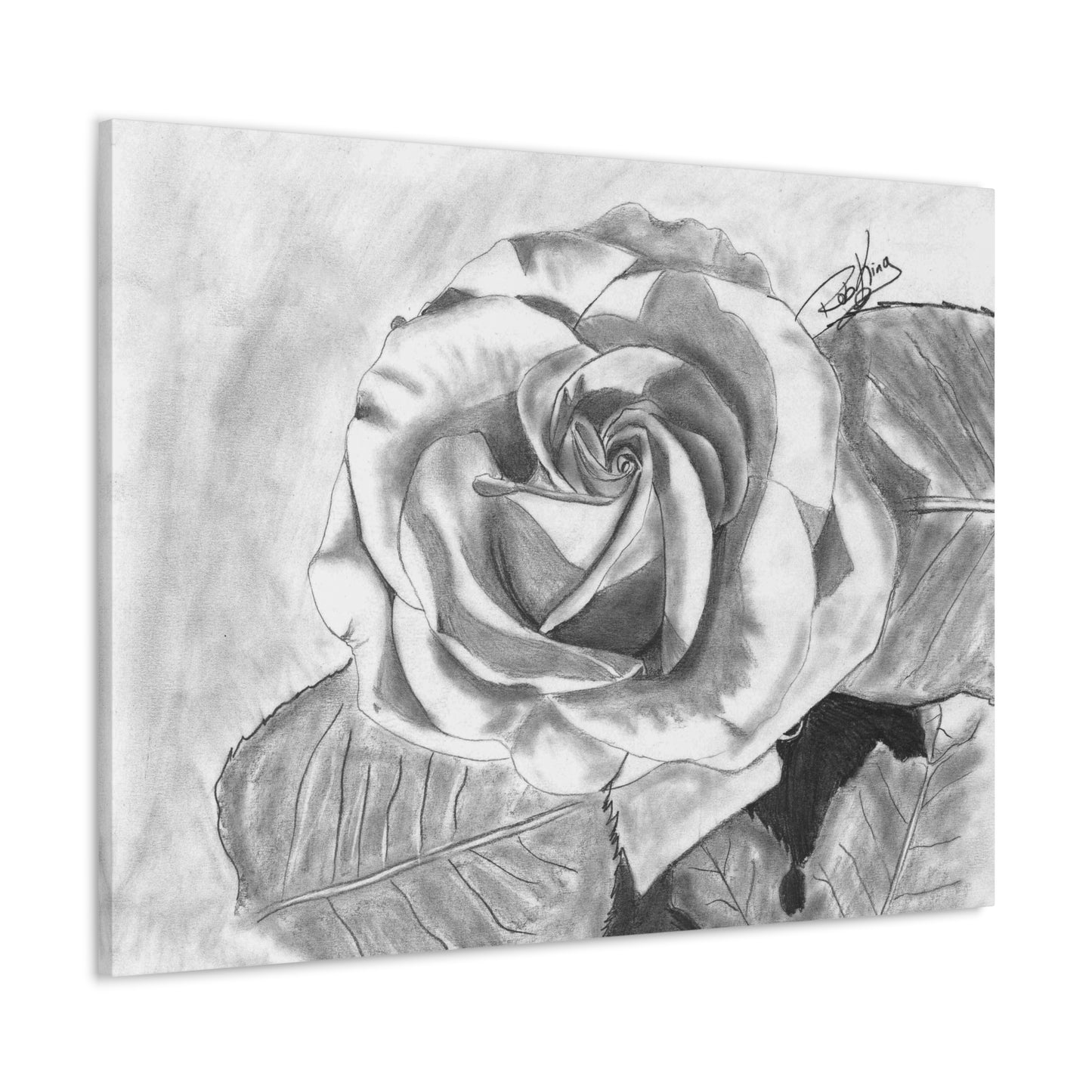 Rose in Bloom - Canvas Gallery Wrap