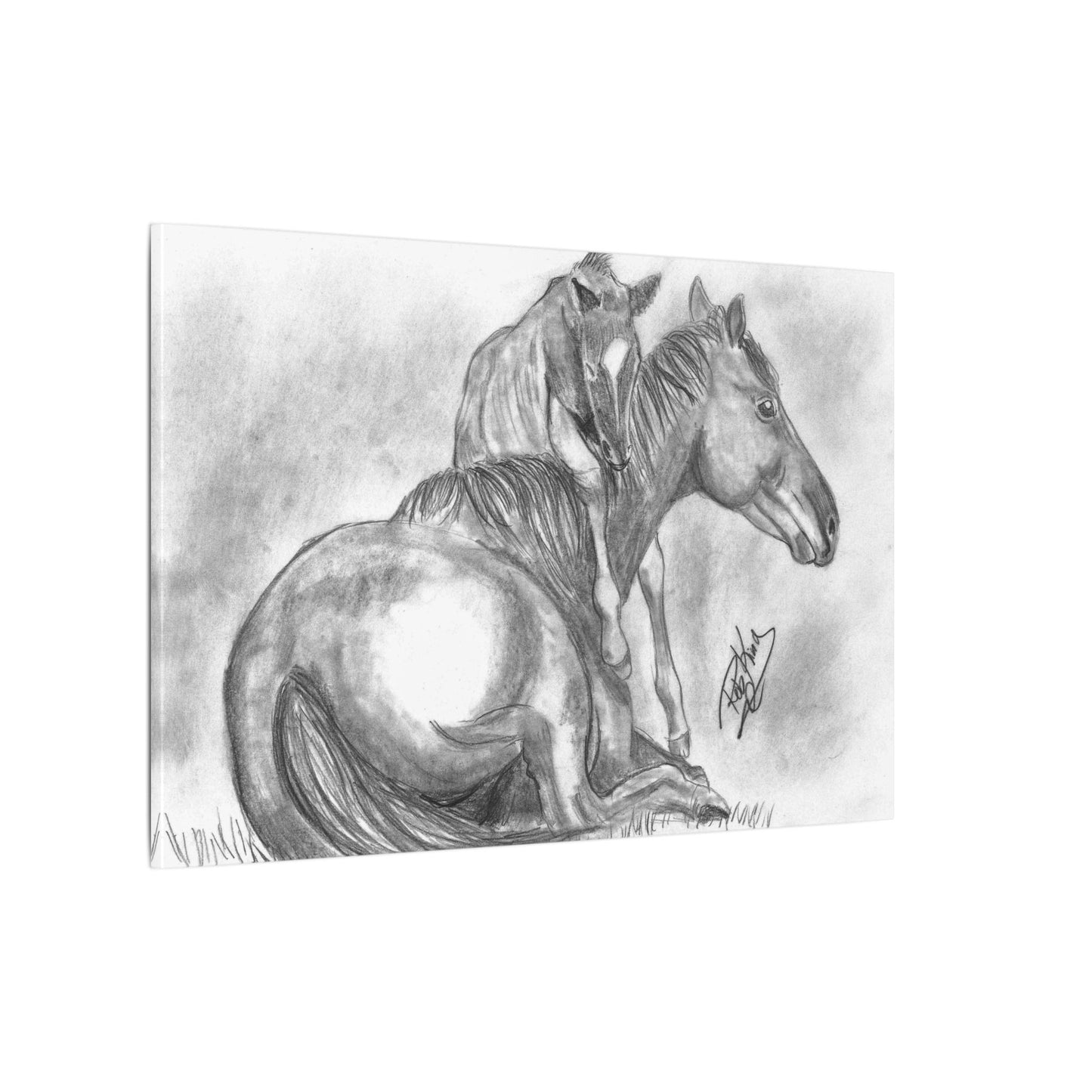 Horse and Foal - Canvas Gallery Wrap