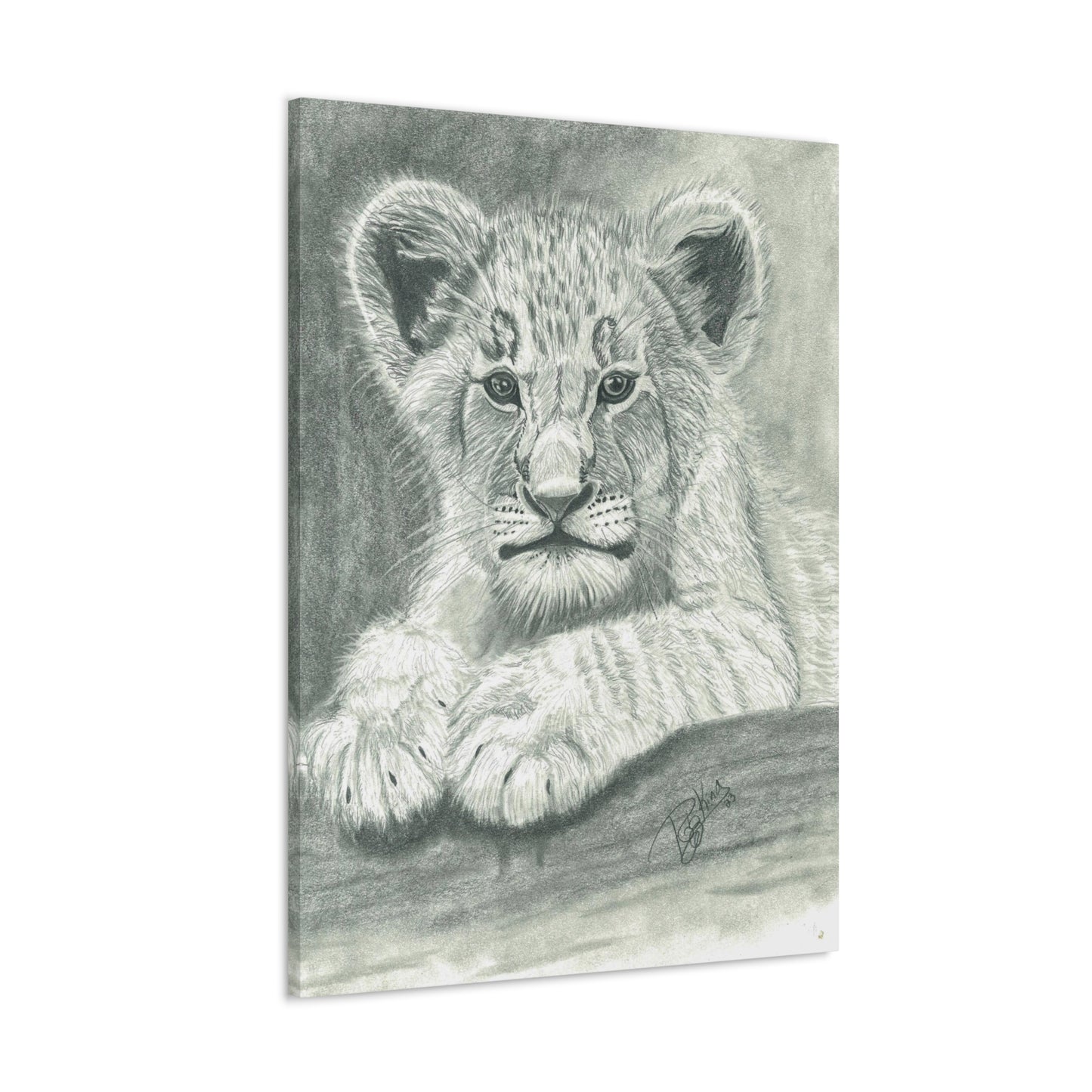 Lion Cub Canvas Gallery Wraps