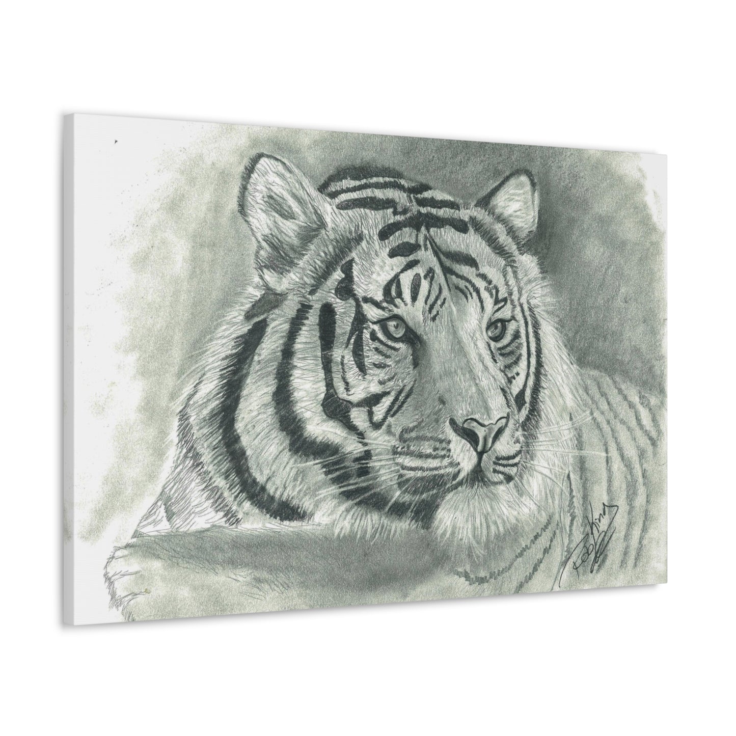 Tiger - Canvas Gallery Wrap
