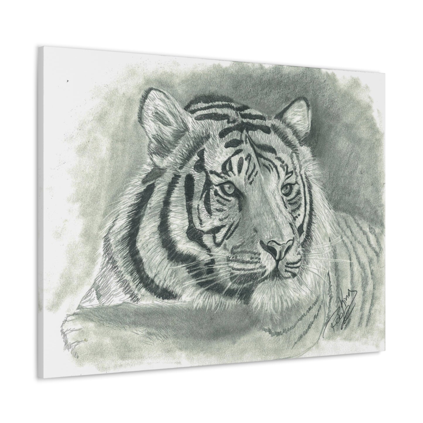 Tiger - Canvas Gallery Wrap