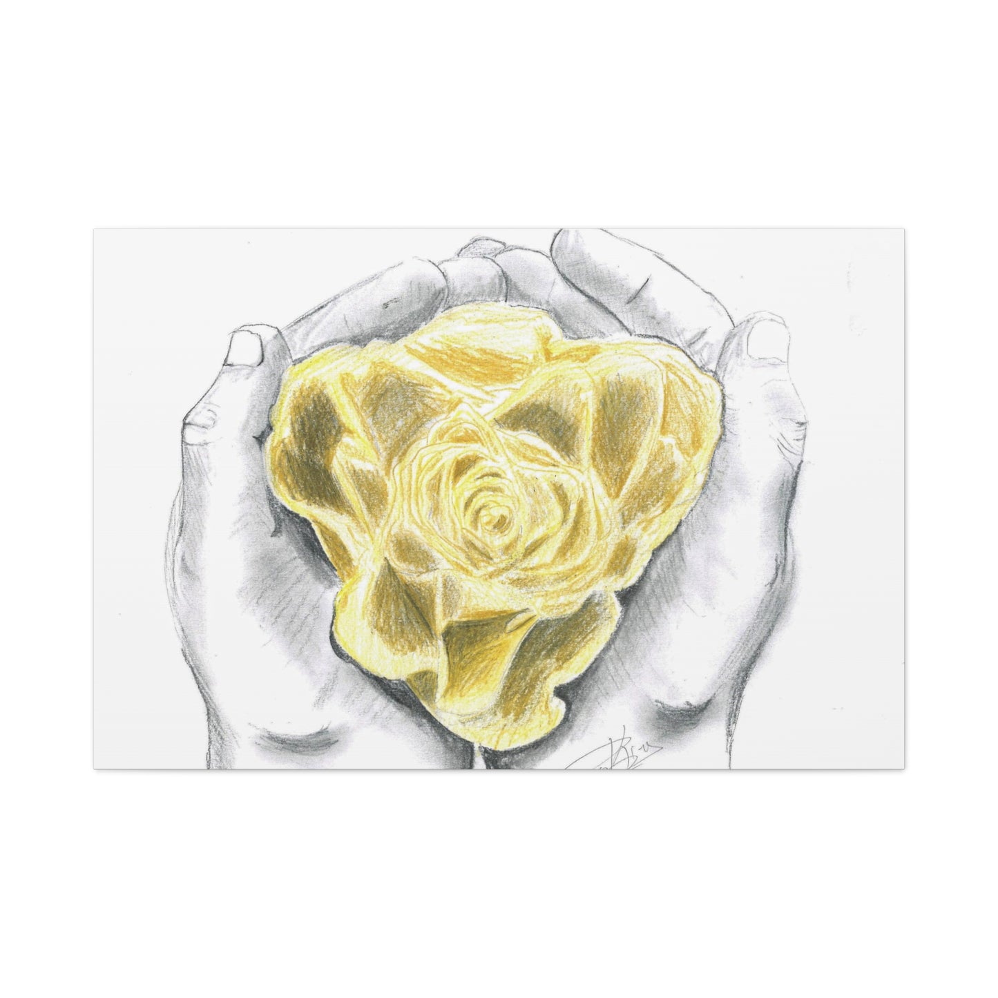 Yellow Rose - Canvas Gallery Wrap