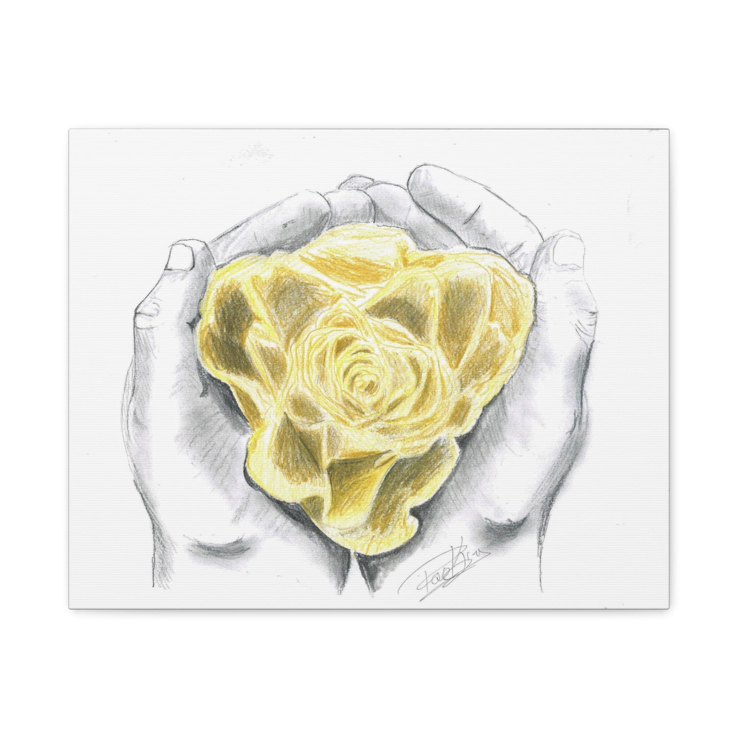 Yellow Rose - Canvas Gallery Wrap