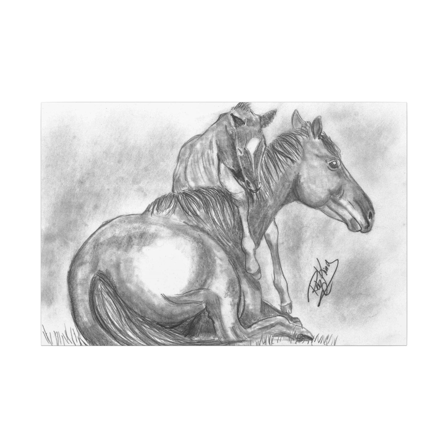 Horse and Foal - Canvas Gallery Wrap