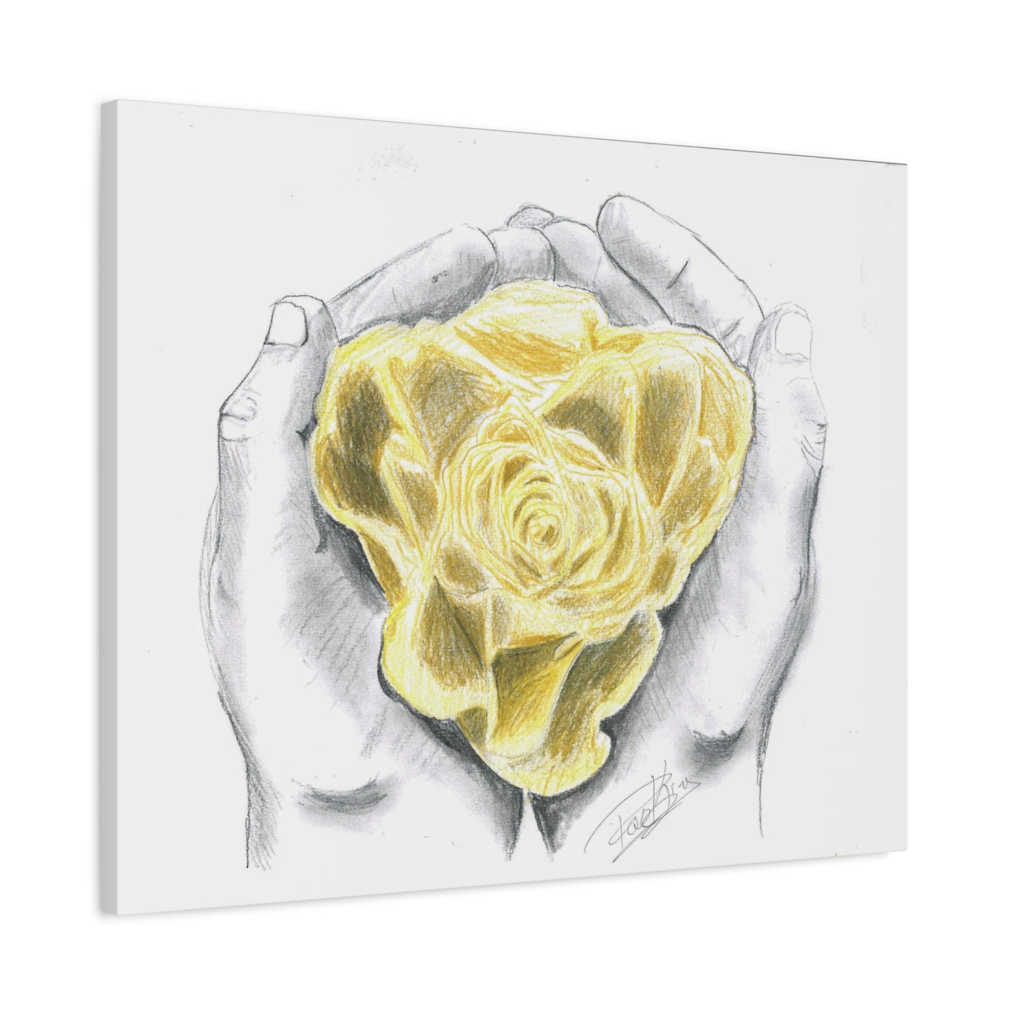 Yellow Rose - Canvas Gallery Wrap