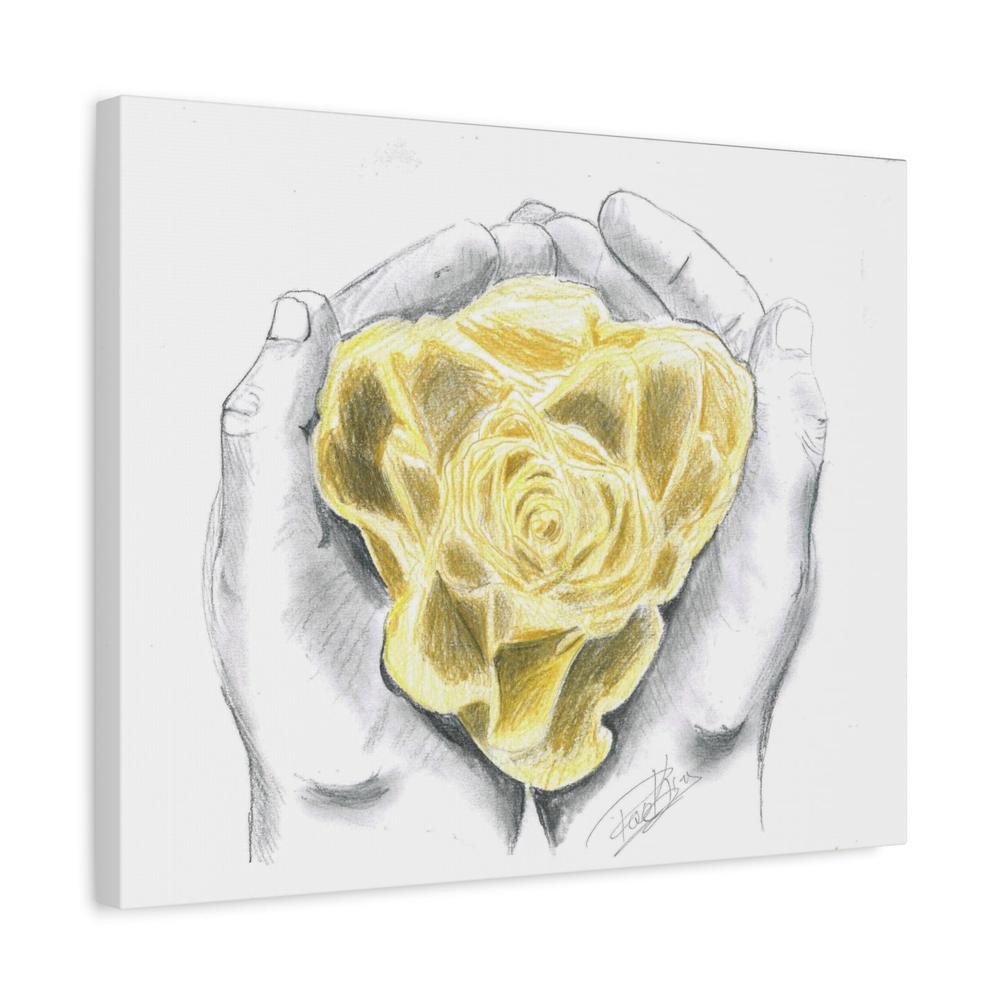 Yellow Rose - Canvas Gallery Wrap