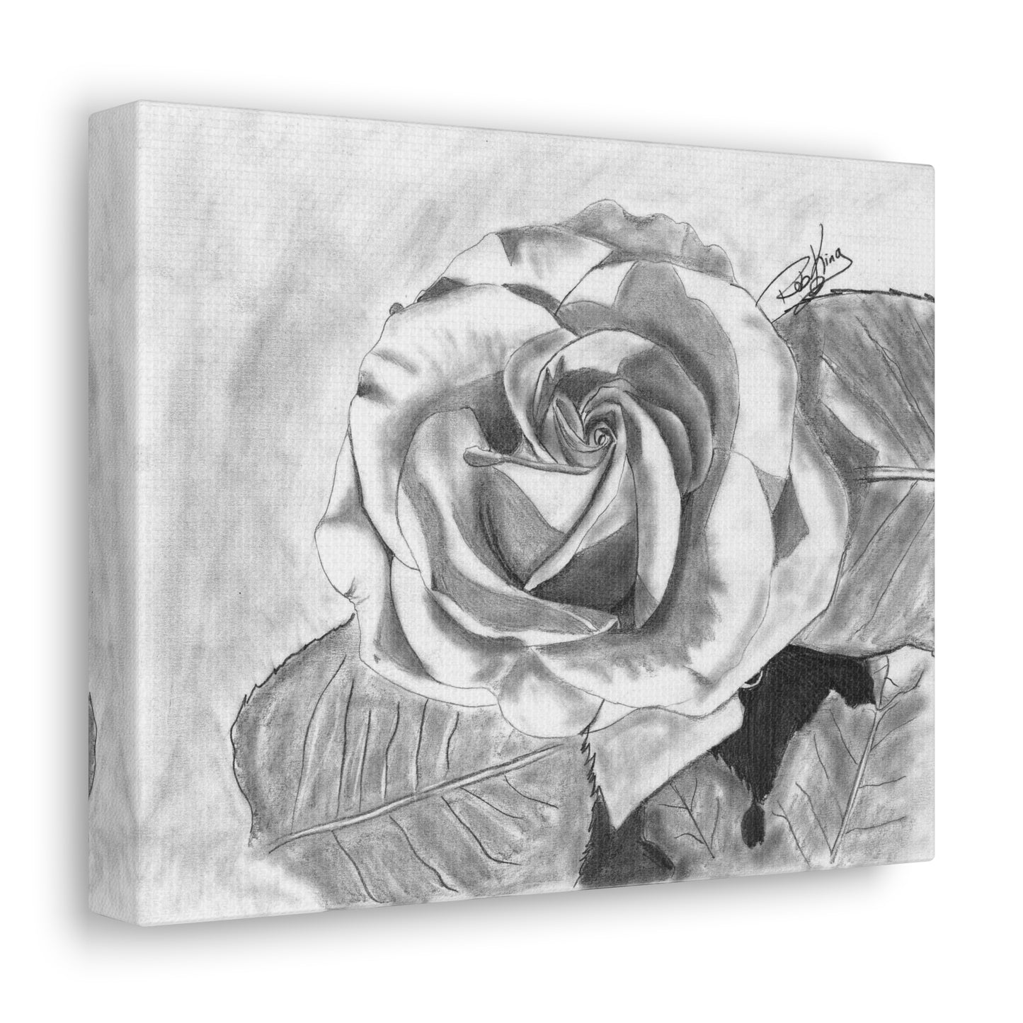 Rose in Bloom - Canvas Gallery Wrap