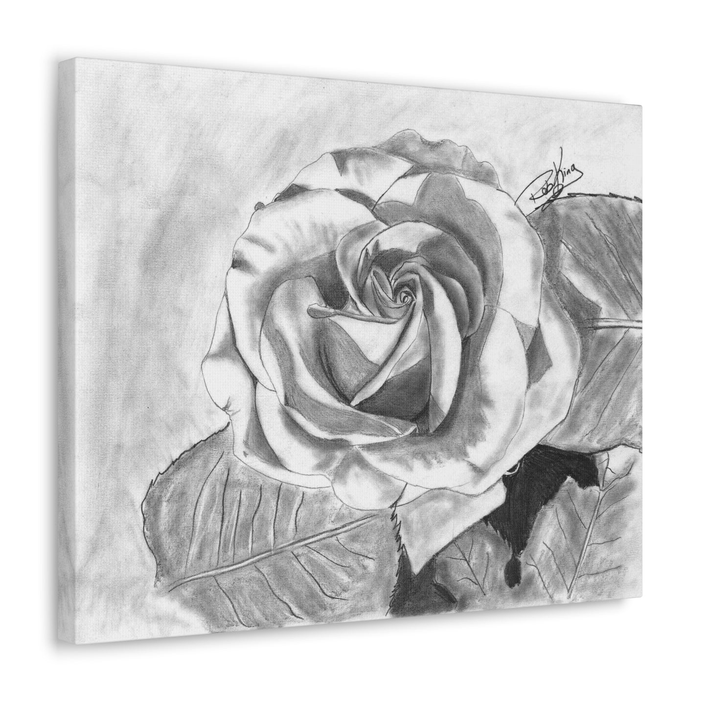 Rose in Bloom - Canvas Gallery Wrap