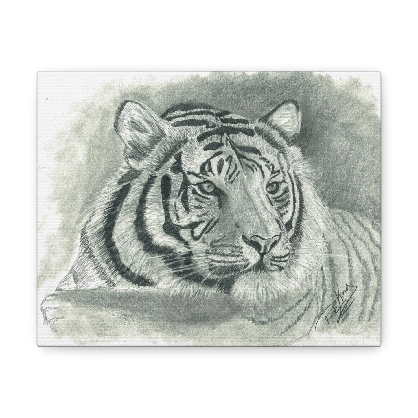 Tiger - Canvas Gallery Wrap