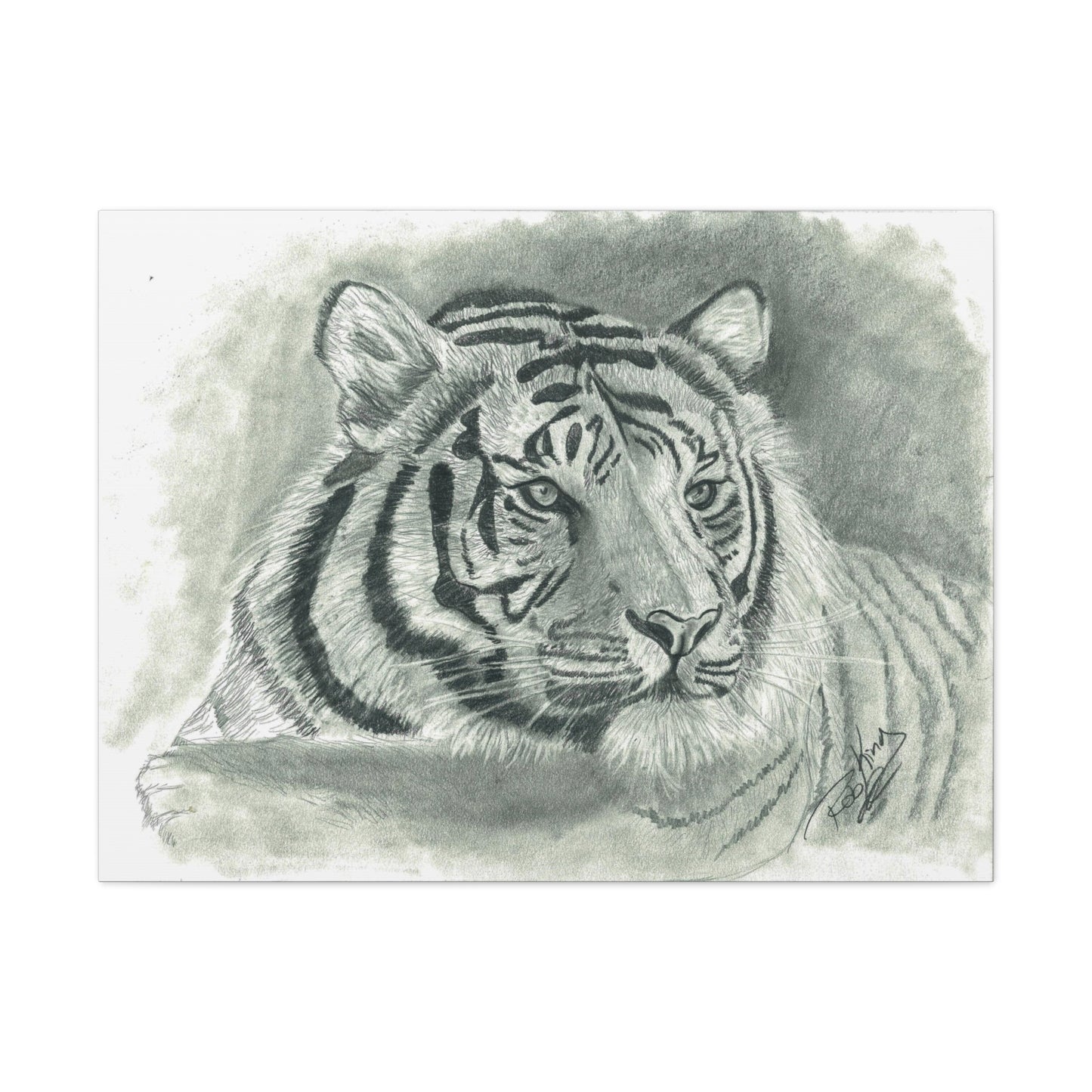 Tiger - Canvas Gallery Wrap