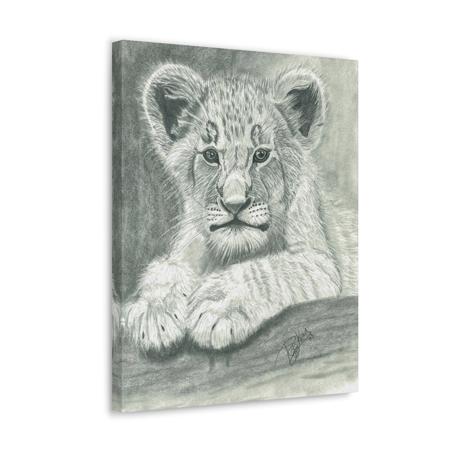 Lion Cub Canvas Gallery Wraps