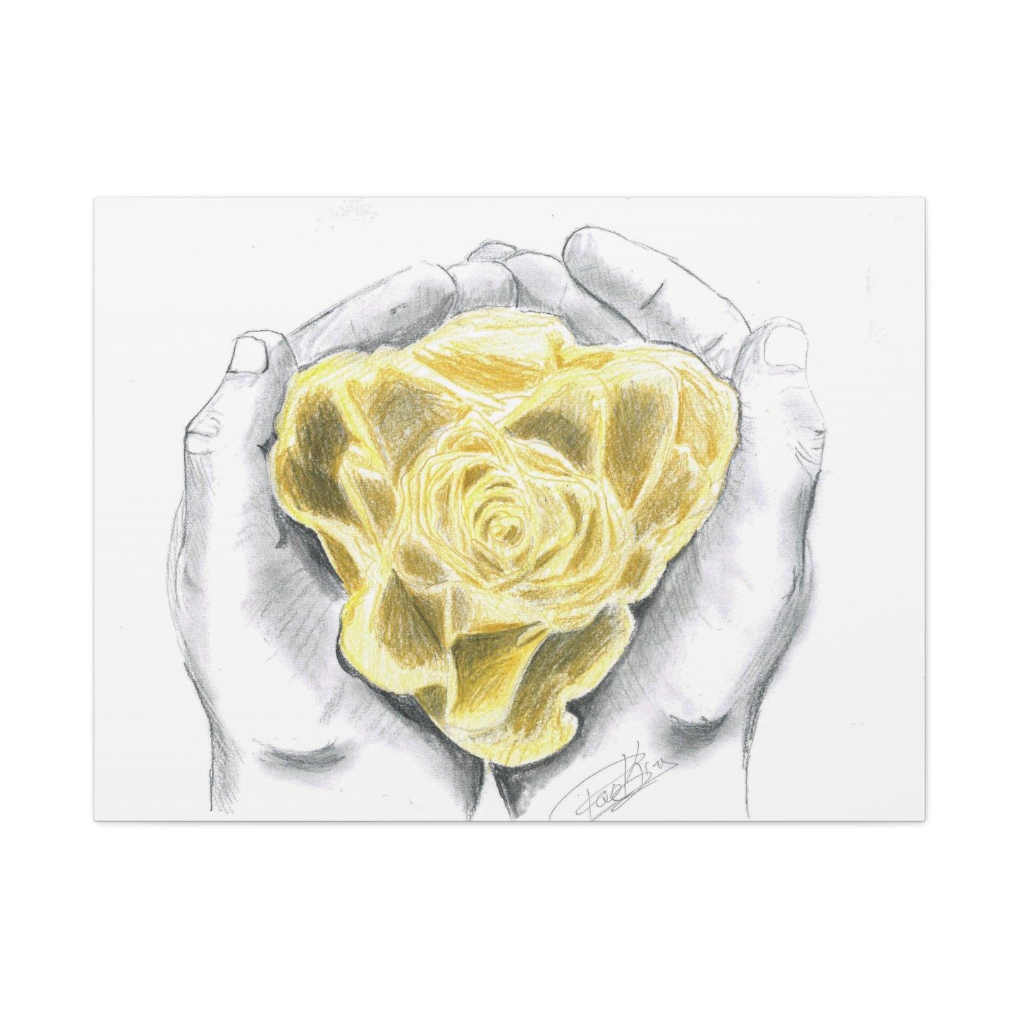 Yellow Rose - Canvas Gallery Wrap