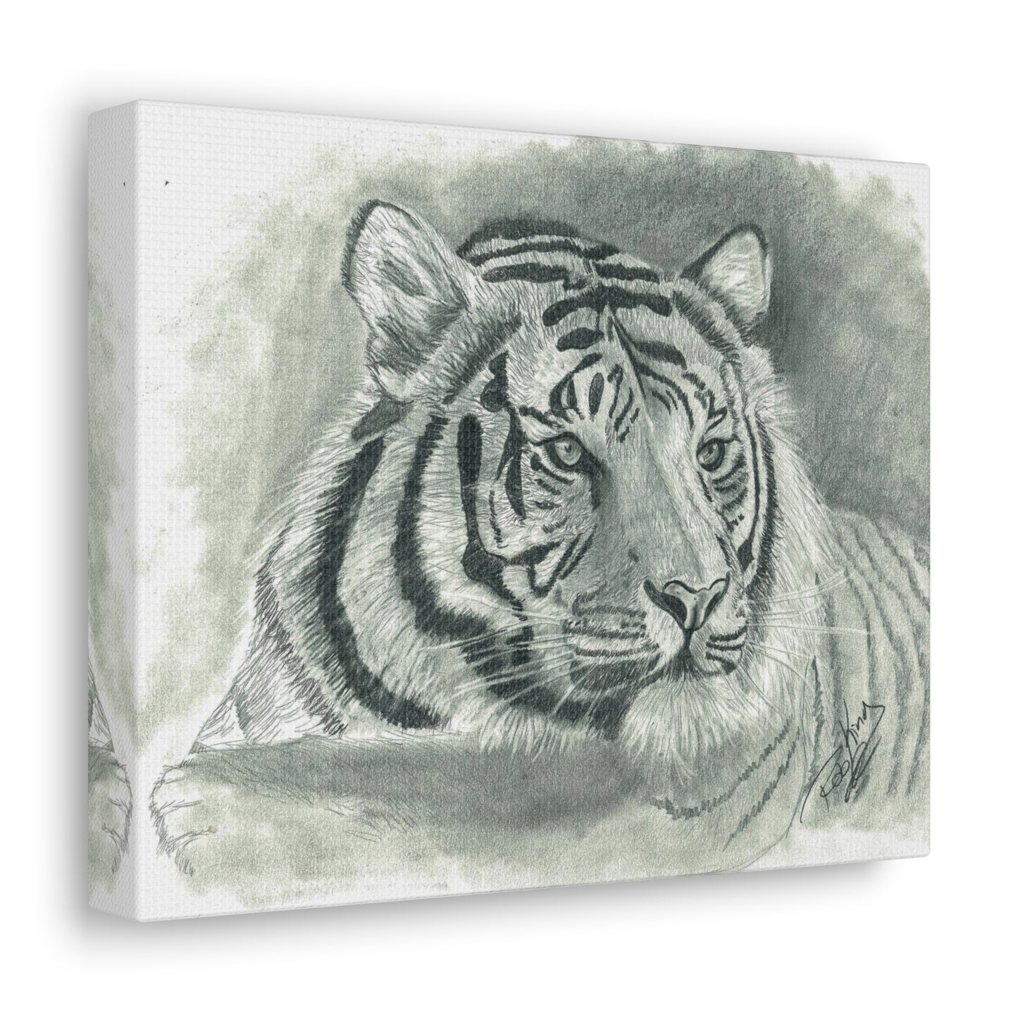 Tiger - Canvas Gallery Wrap