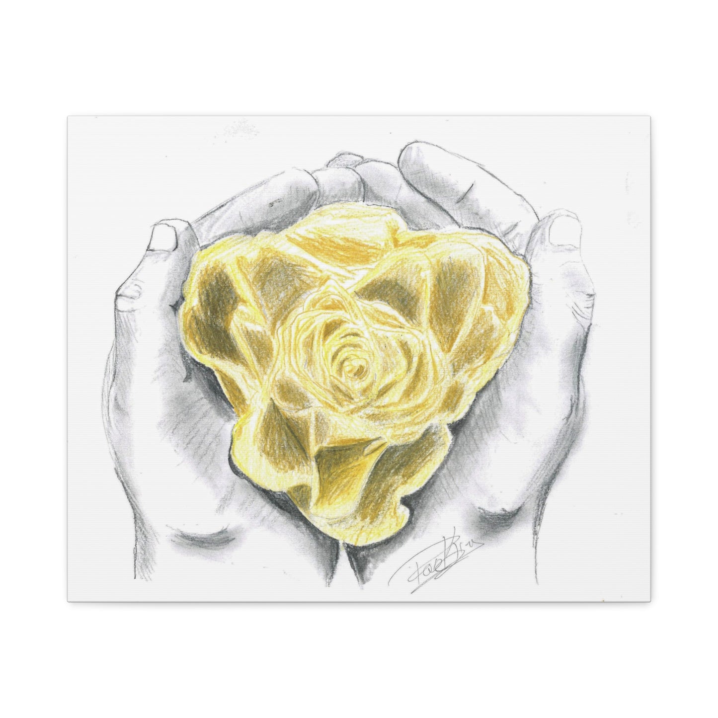 Yellow Rose - Canvas Gallery Wrap