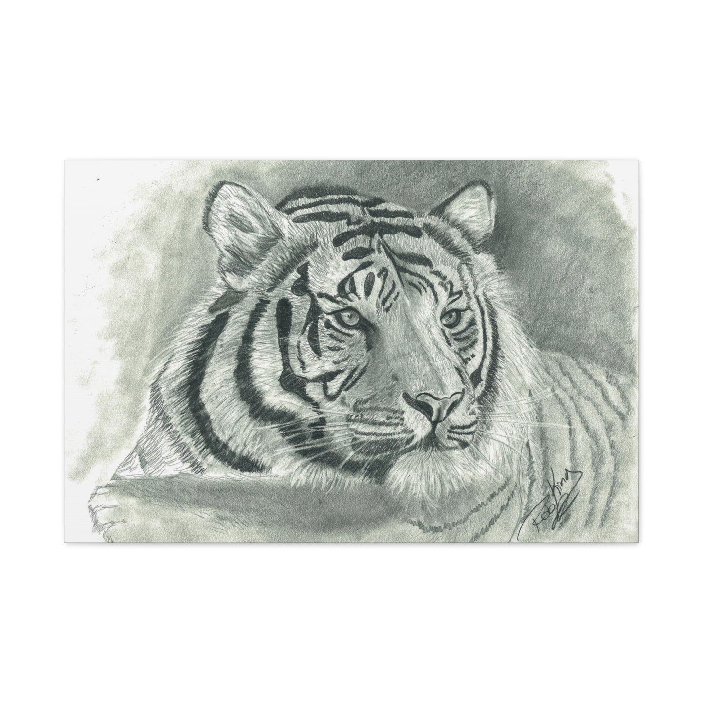 Tiger - Canvas Gallery Wrap