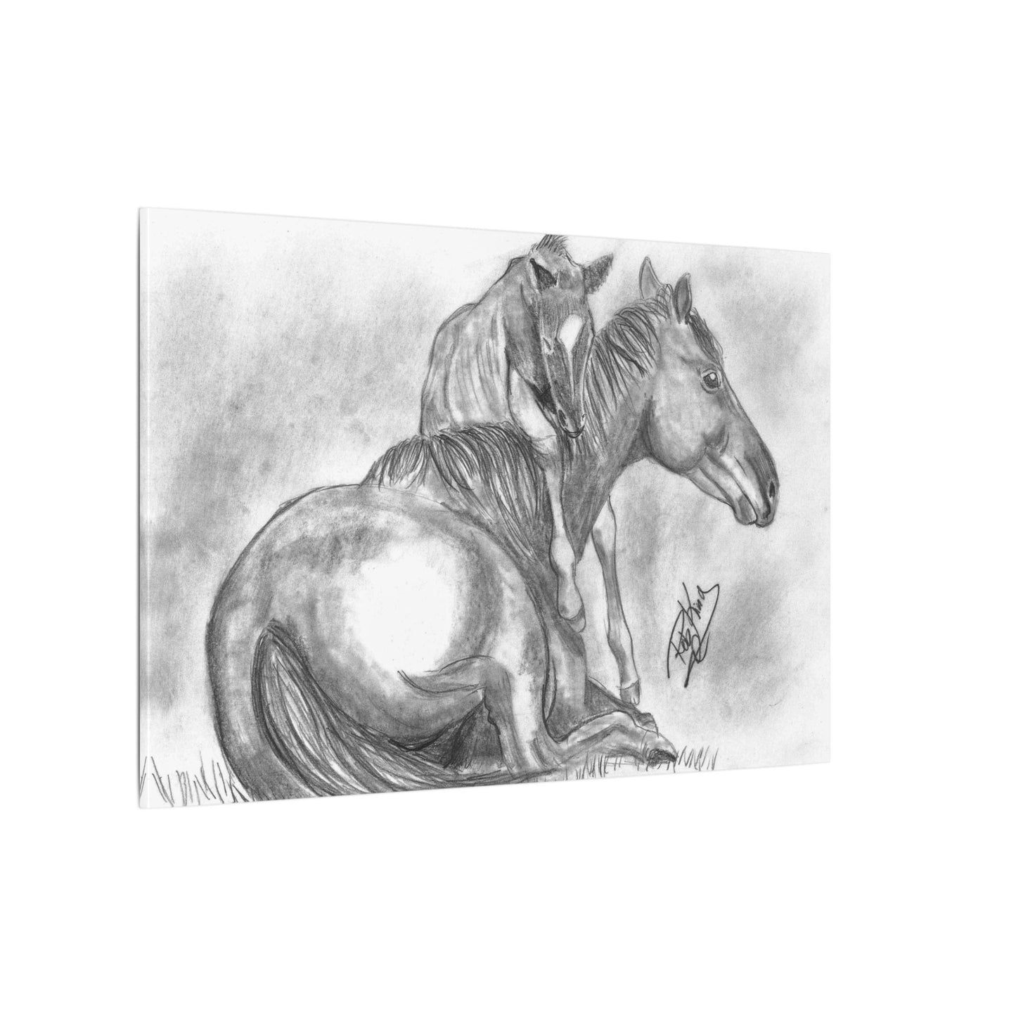 Horse and Foal - Canvas Gallery Wrap