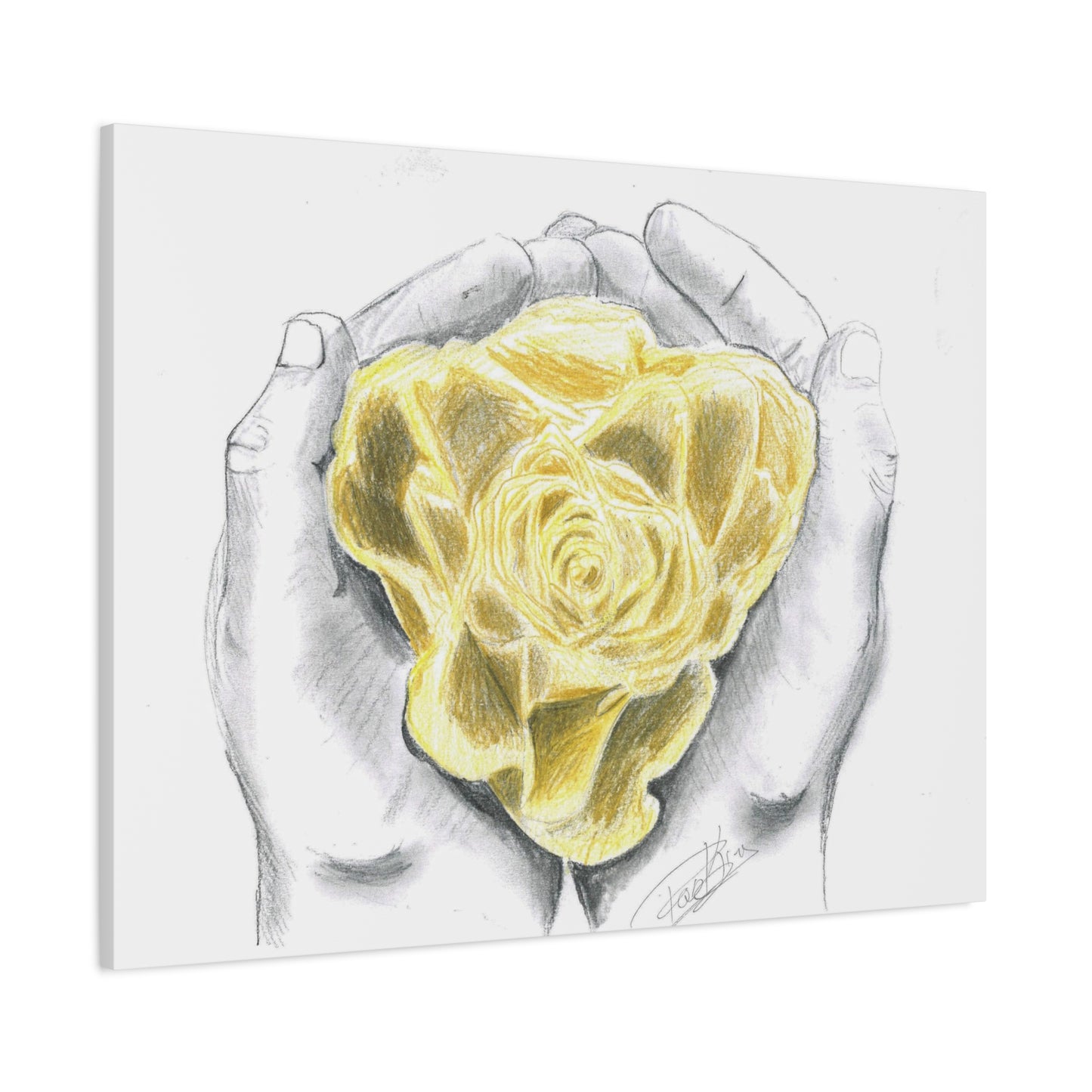 Yellow Rose - Canvas Gallery Wrap