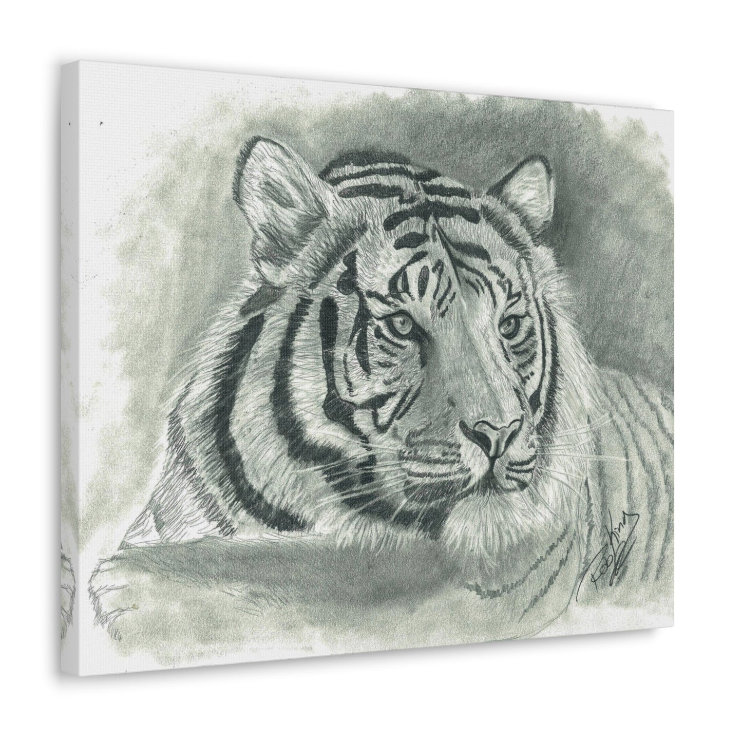 Tiger - Canvas Gallery Wrap