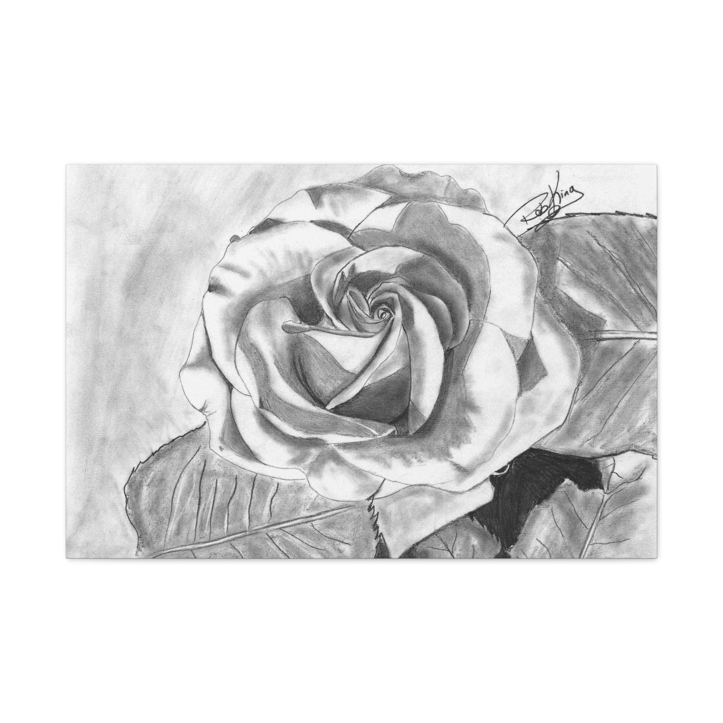 Rose in Bloom - Canvas Gallery Wrap