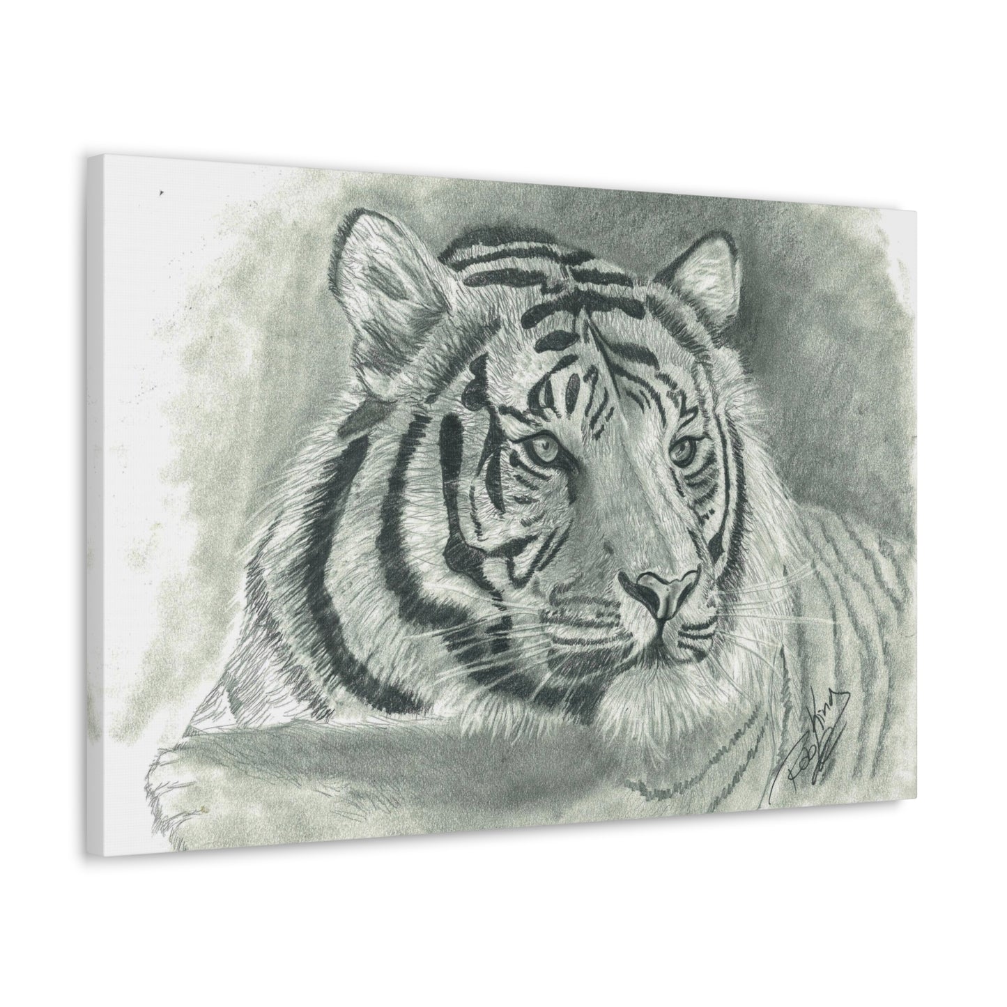 Tiger - Canvas Gallery Wrap
