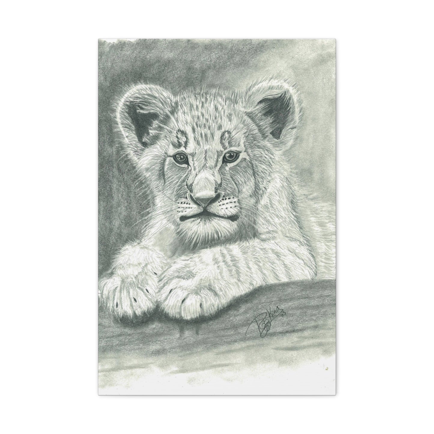Lion Cub Canvas Gallery Wraps