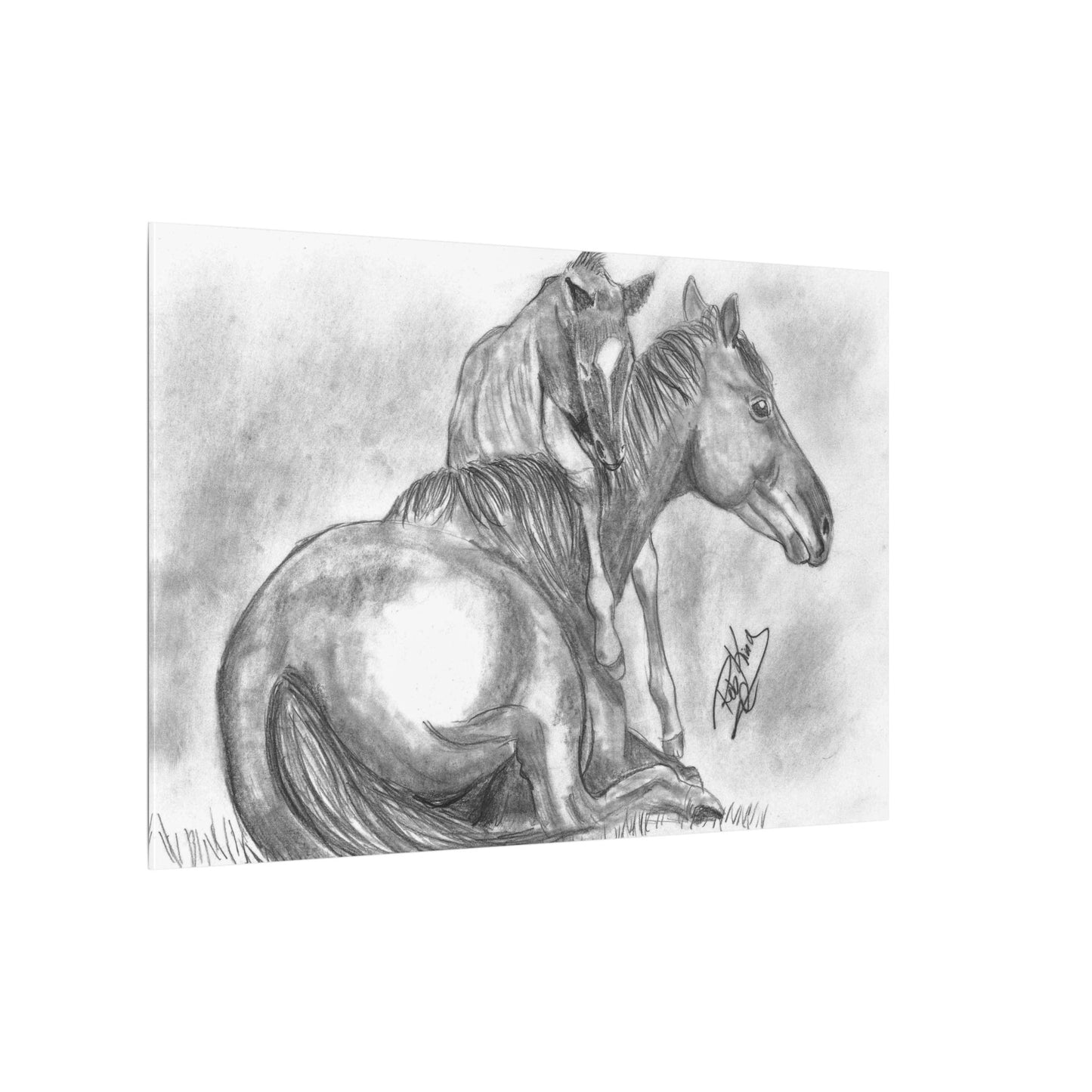 Horse and Foal - Canvas Gallery Wrap