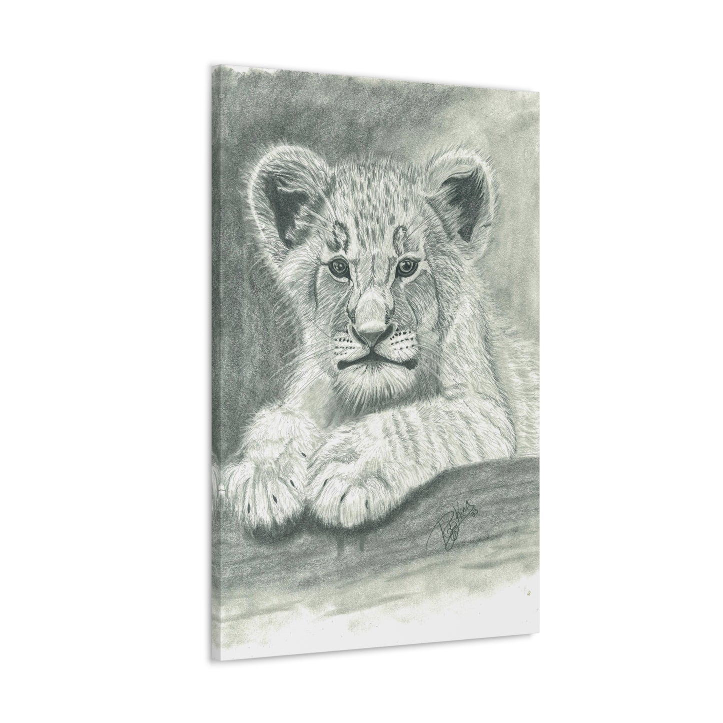 Lion Cub Canvas Gallery Wraps