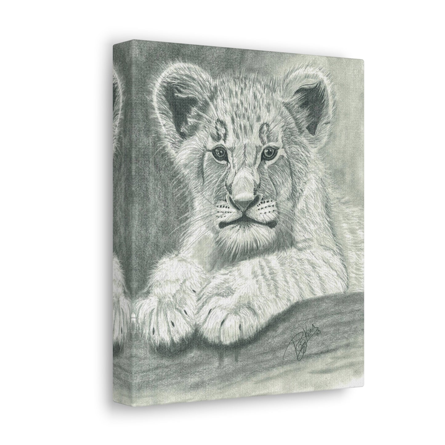 Lion Cub Canvas Gallery Wraps