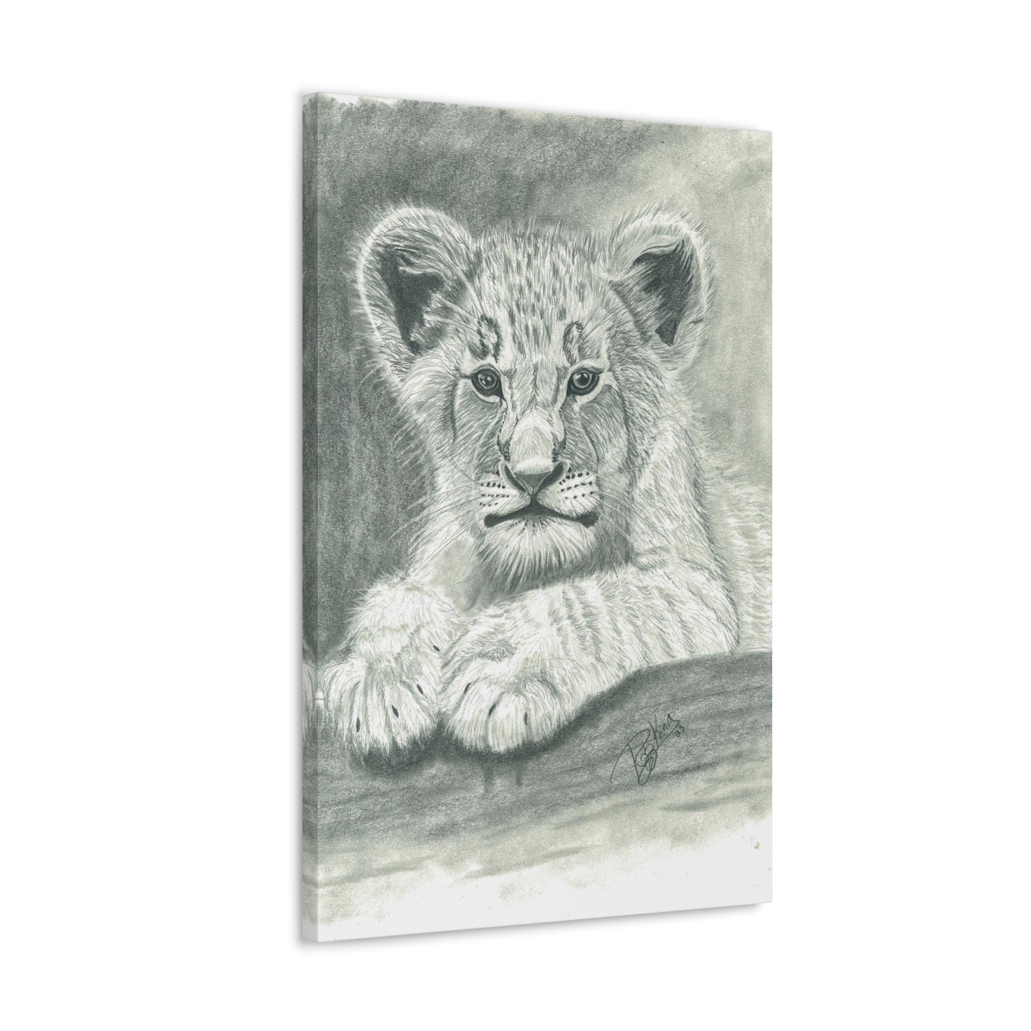 Lion Cub Canvas Gallery Wraps