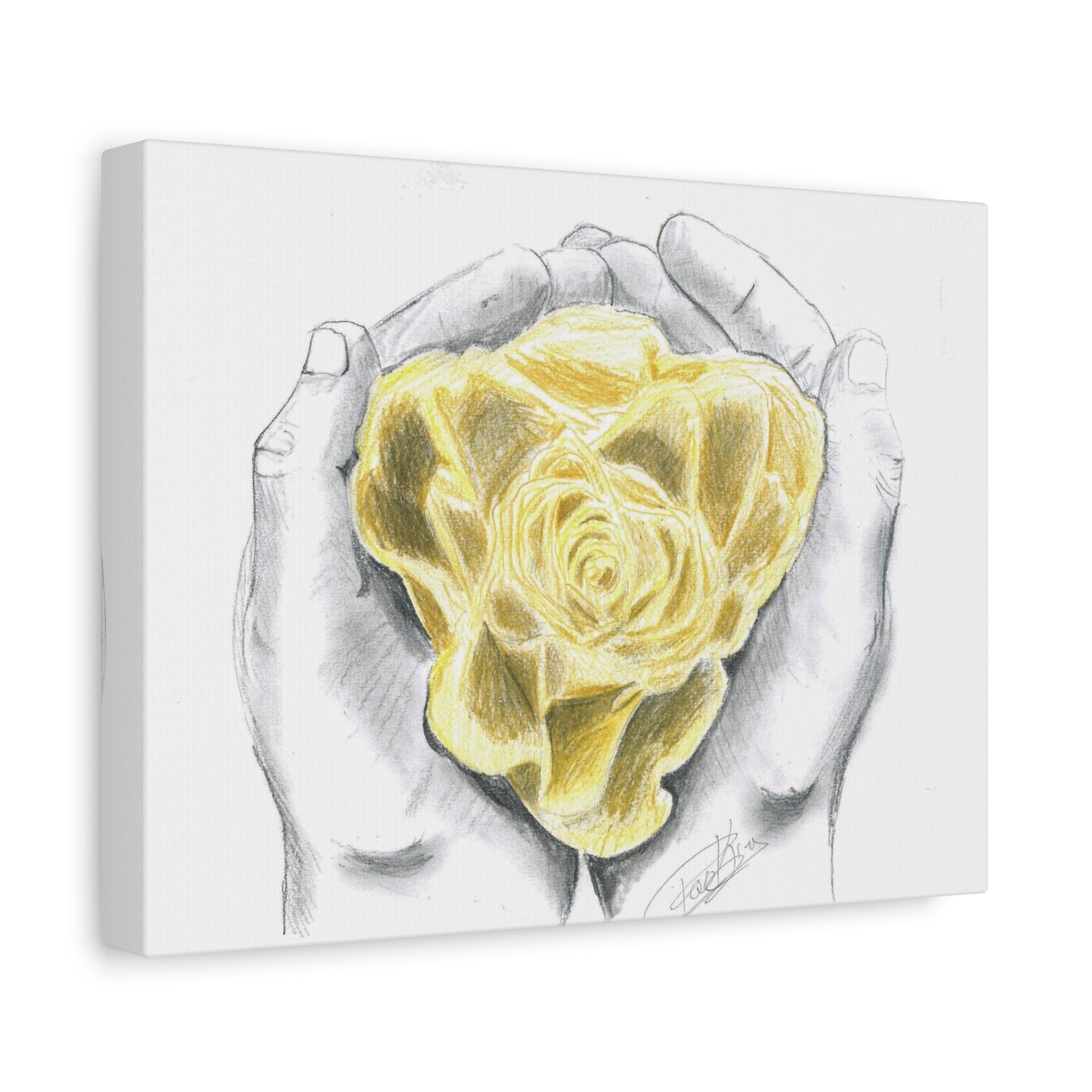 Yellow Rose - Canvas Gallery Wrap