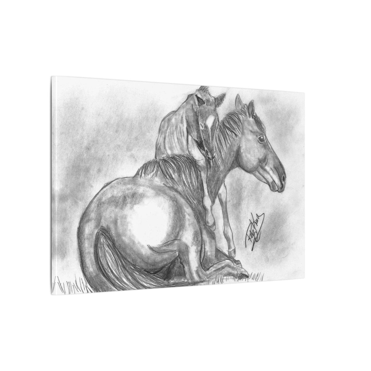Horse and Foal - Canvas Gallery Wrap