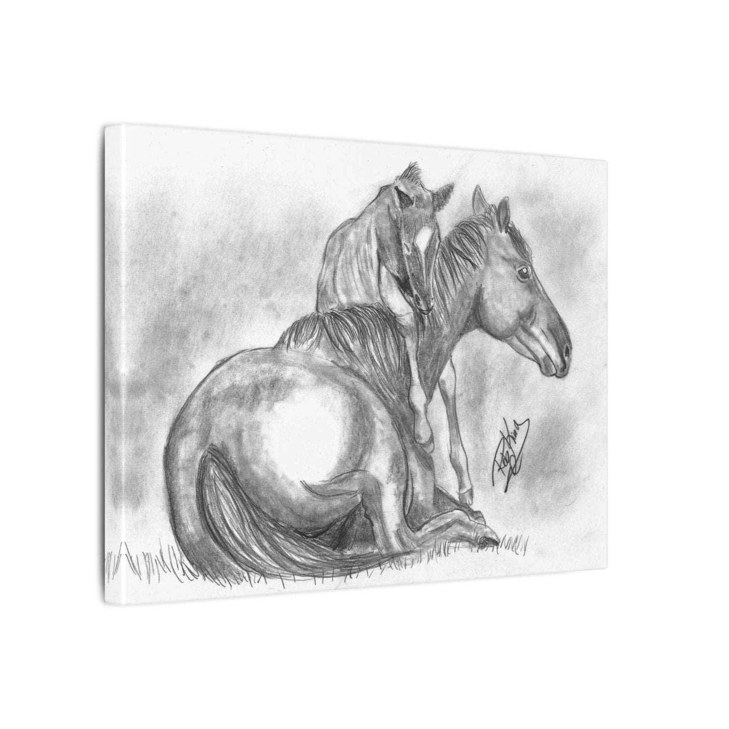 Horse and Foal - Canvas Gallery Wrap